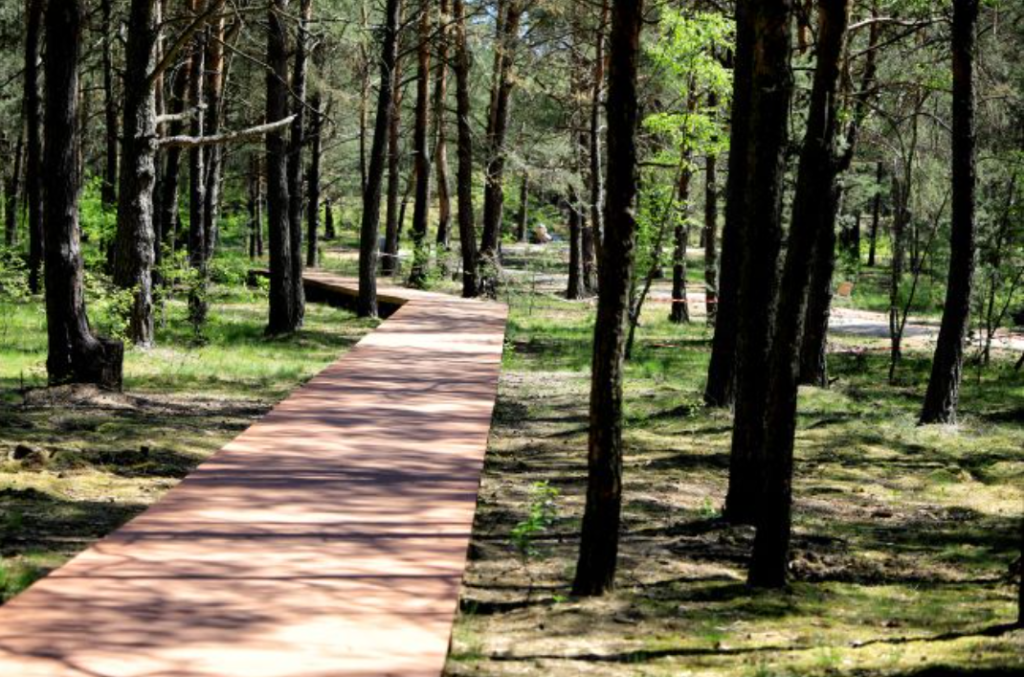 Jar parki